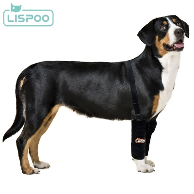 LISPOO Dog Wrist Brace for Sports Protection 01