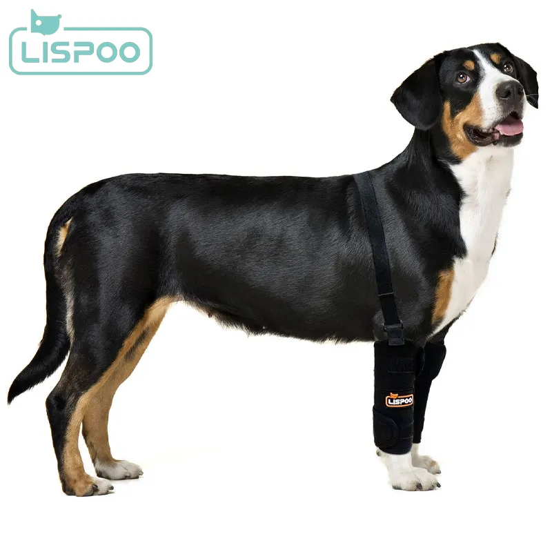 LISPOO Dog Wrist Brace for Sports Protection00