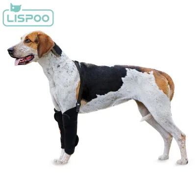 LISPOO Dog Wrist Brace for Sports Protection 02