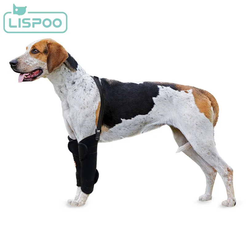 LISPOO Dog Wrist Brace for Sports Protection01