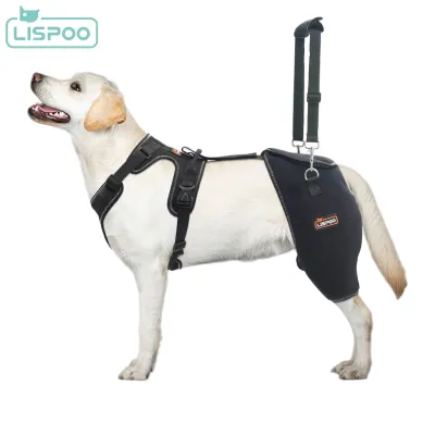 LISPOO Dog Hip Dysplasia Brace with Handle 01