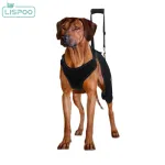 LISPOO Labrador Retriever Hip Brace