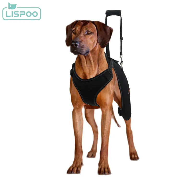LISPOO Dog Hip Dysplasia Brace with Handle02