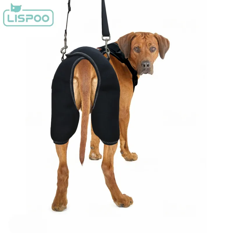 LISPOO Dog Hip Dysplasia Brace with Handle03