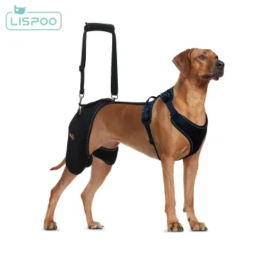LISPOO Dog Hip Dysplasia Brace with Handle 02