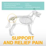 LISPOO Labrador Dog Hip Brace