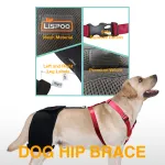 LISPOO Labrador Dog Hip Brace