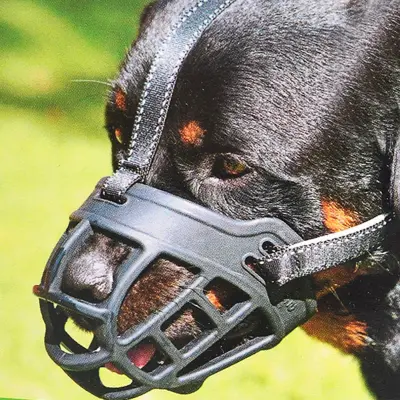 Silicone Anti-Bite Dog Muzzles 01