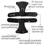 TAILUP Hands-Free Gloves With Walking Dog Leashes