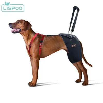 LISPOO Dog Hip Brace with Handle 01