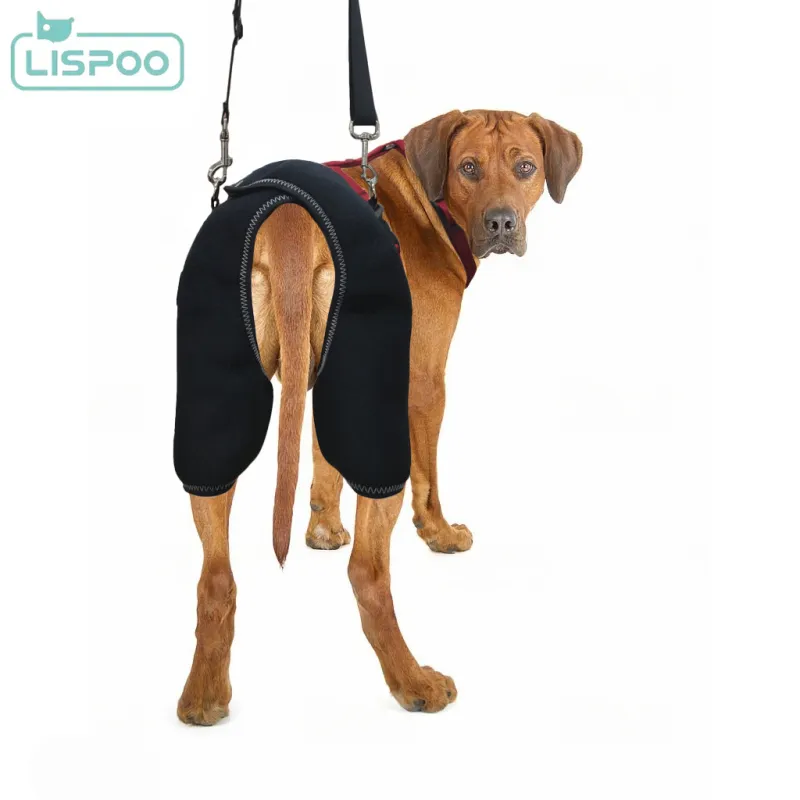LISPOO Dog Hip Brace with Handle01