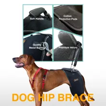 LISPOO Dog Hip Brace with Handle02