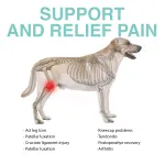 Lispoo Dog Double Hind Leg Brace for ACL Tear