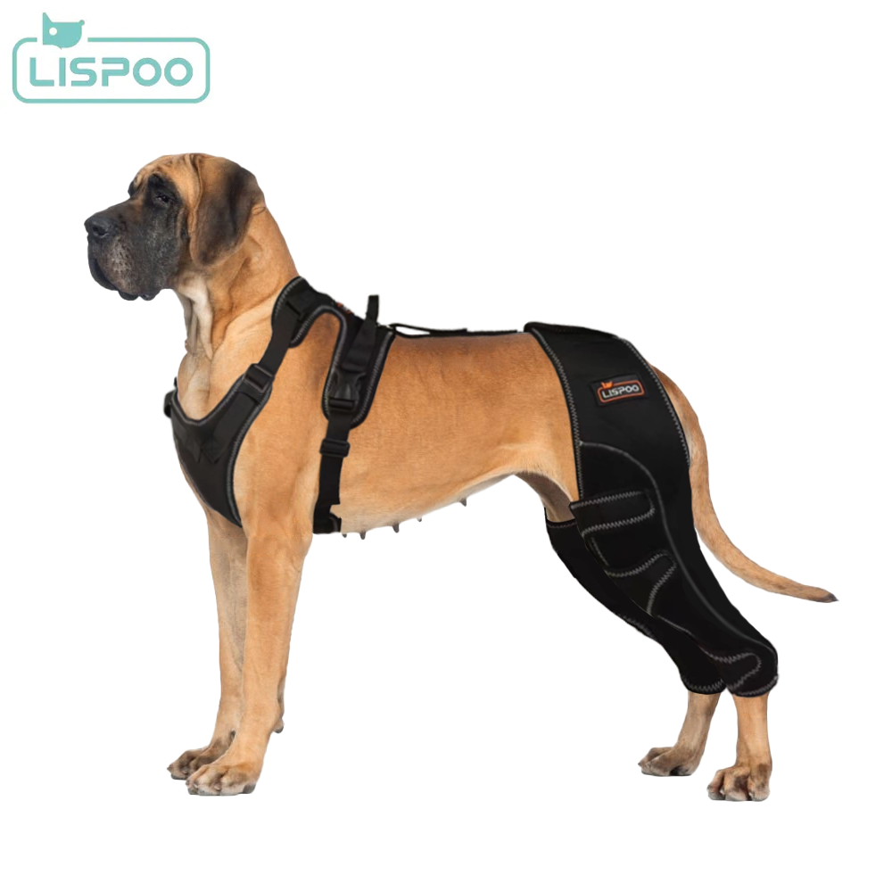 Lispoo Dog Double Hind Leg Brace for ACL Tear - Crawlpaw