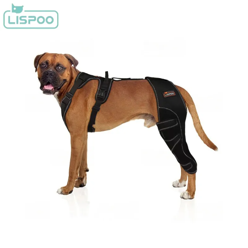 Lispoo Dog Double Hind Leg Brace for ACL Tear - Crawlpaw
