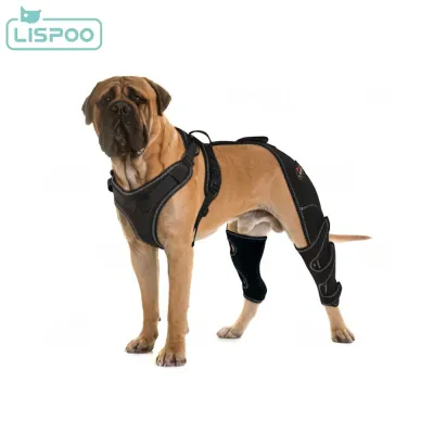 Lispoo Dog Double Hind Leg Brace for ACL Tear 02