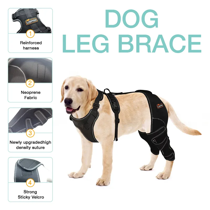 Lispoo Dog Double Hind Leg Brace for ACL Tear02