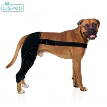 Lispoo Dog Double Hind Leg Braces for ACL02