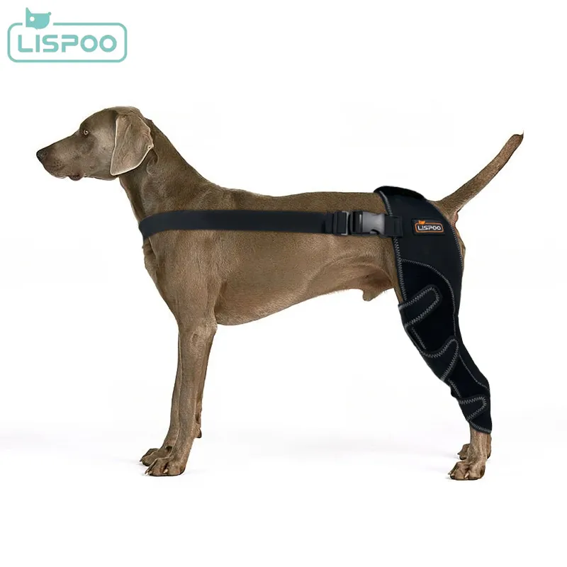 Lispoo Dog Double Hind Leg Braces for ACL00
