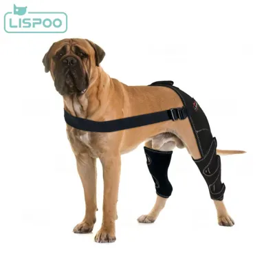 Lispoo Dog Double Hind Leg Braces for ACL 02