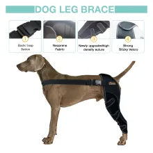 Lispoo Dog Double Hind Leg Braces for ACL03