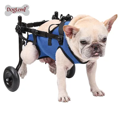 Dog Wheelchair for Hind Leg Weakness 01