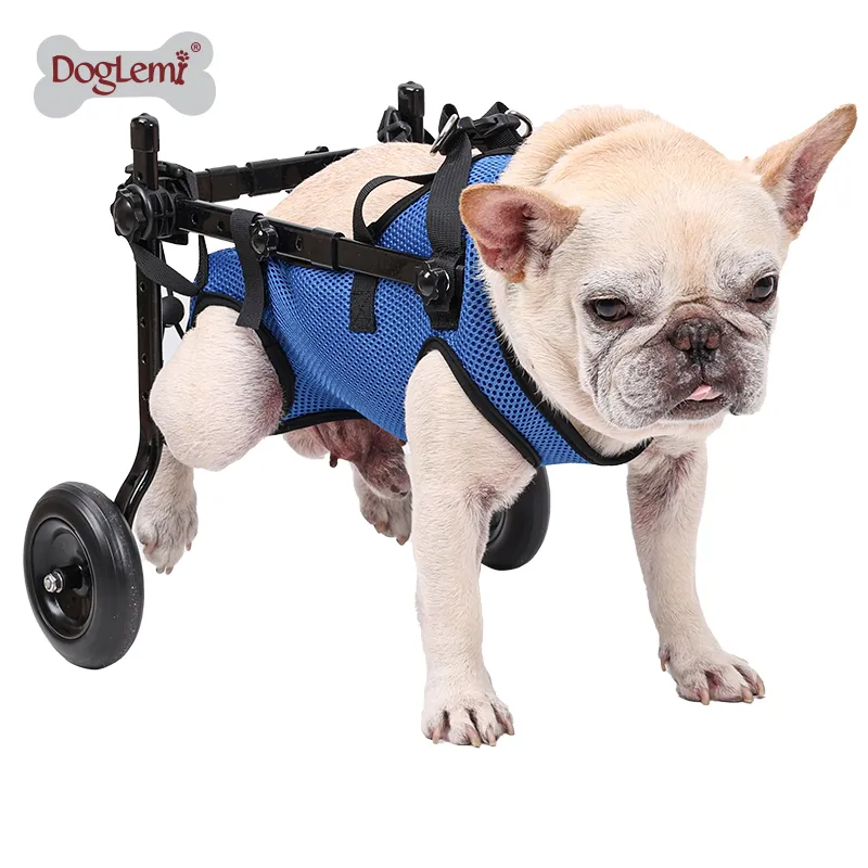 Dog Wheelchair for Hind Leg Weakness00