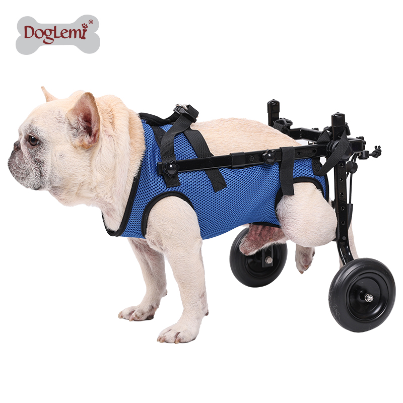 Walkers for dogs with hip dysplasia cheap
