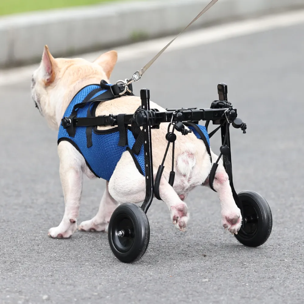 Dog Wheelchair for Hind Leg Weakness