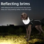Dog waterproof thickened vest jacket