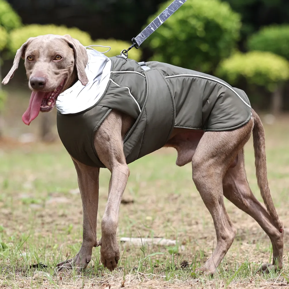 Dog waterproof thickened vest jacket