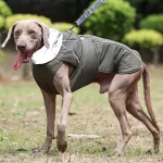 Dog waterproof thickened vest jacket