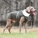 Dog waterproof thickened vest jacket