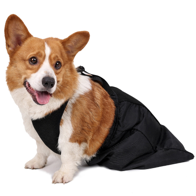Drag Bag For Paralyzed Dog 01