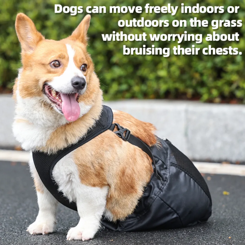 Drag Bag For Paralyzed Dog
