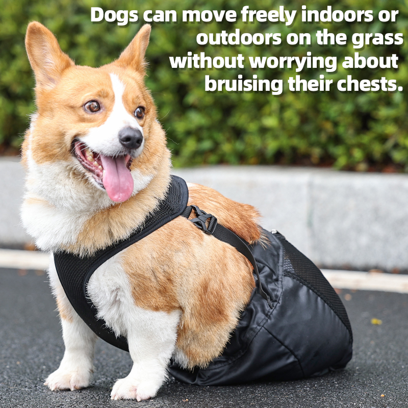 Drag Bag For Paralyzed Dog