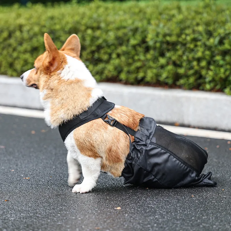Drag Bag For Paralyzed Dog05