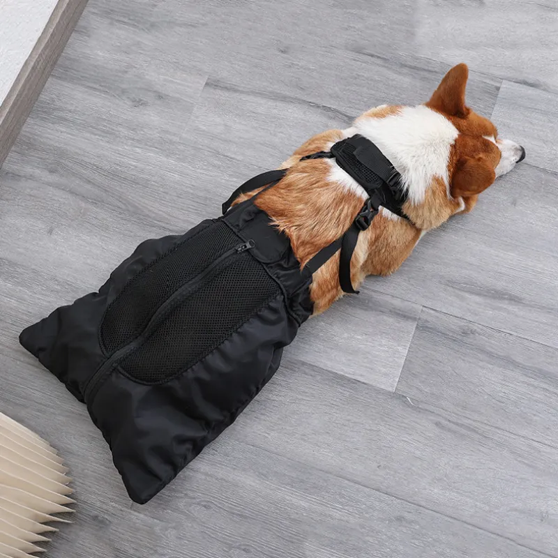 Drag Bag For Paralyzed Dog07