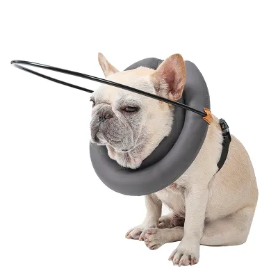 DOGLEMI Blind Dog Collar 01