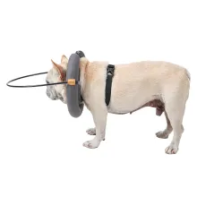 DOGLEMI Blind Dog Collar02