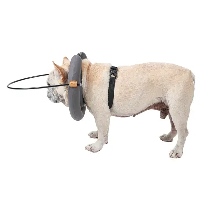 DOGLEMI Blind Dog Collar 02