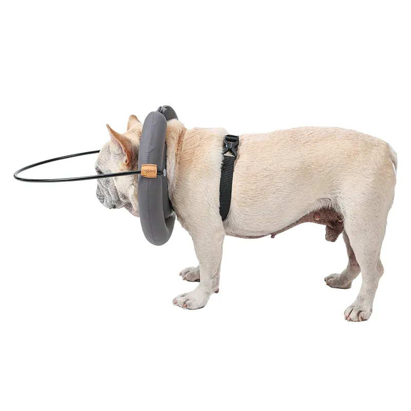 DOGLEMI Blind Dog Collar01