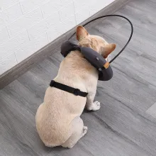 DOGLEMI Blind Dog Collar08