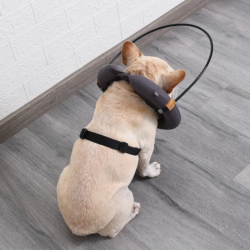 DOGLEMI Blind Dog Collar07