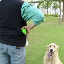 DOGLEMI Dog Training Vest For Handlers 01