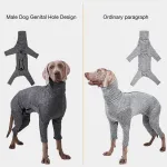 DOGLEMI Dog Recovery Suit Long Sleeve