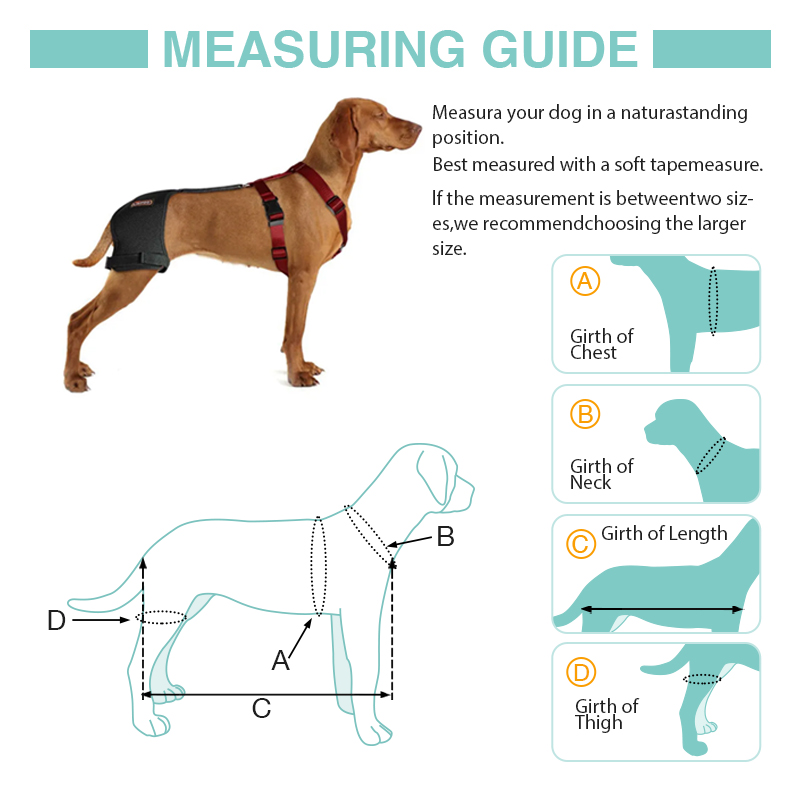 LISPOO Dog Hip Brace for Hip Dysplasia