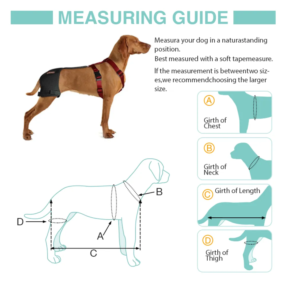 LISPOO Dog Hip Brace for Hip Dysplasia