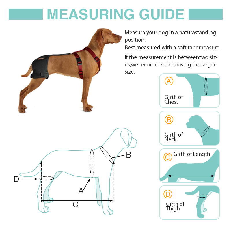 LISPOO Dog Hip Brace for Hip Dysplasia