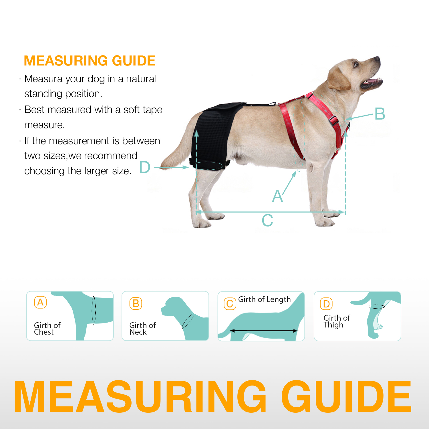 LISPOO Labrador Dog Hip Brace